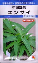 エンサイ（空心菜）