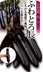 ふわとろ長