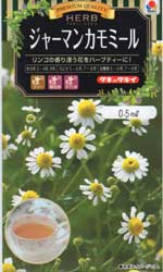 ジャーマンカモミール