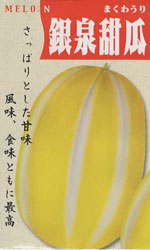 銀泉甜瓜