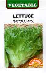 ギザフリレタス