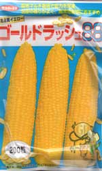 ゴールドラッシュ88