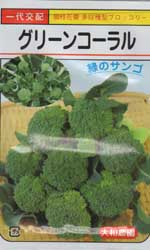 グリーンコーラル