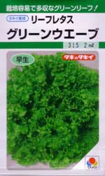 グリーンウエーブ