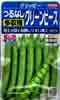つるなしグリーンピース　グリッピー