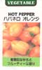 ハバネロ　オレンジ