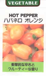 ハバネロ　オレンジ