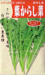 葉からし菜