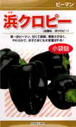 浜クロピー