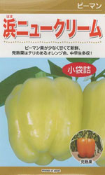 浜ニュークリーム