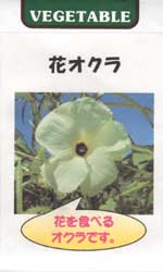 花オクラ