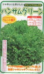 ハンサムグリーン