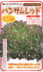 ハンサムレッド