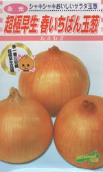 春いちばん玉葱