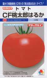 CF桃太郎はるか