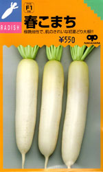 春こまち