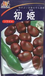 初姫