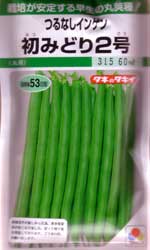 初みどり2号