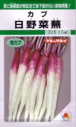 日野菜蕪