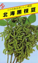 北海黒枝豆