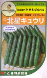 北星キュウリ