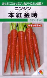 本紅金時（京人参）