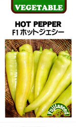 F1　ホットジェシー