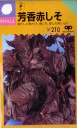 芳香赤しそ