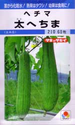 太へちま