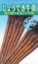 じょうでき牛蒡