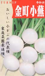 金町小蕪