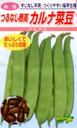 つるなし穂高　カルナ菜豆