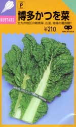 博多かつを菜