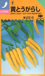 黄とうがらし