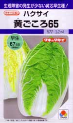 黄ごころ65