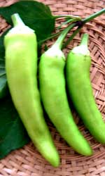 黄色辛こしょう