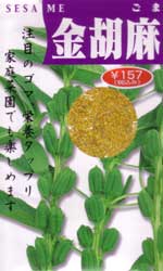 金胡麻