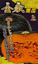 金蔵（きんぞう）南瓜