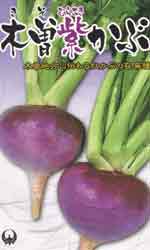 木曽紫かぶ