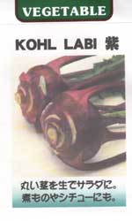 コールラビ（紫系）