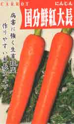 国分鮮紅大長