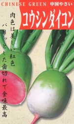 コウシンダイコン
