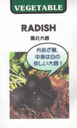 黒丸大根
