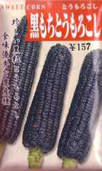 黒もちとうもろこし