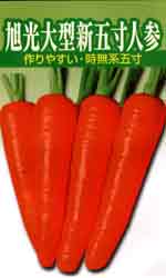 旭光大型新五寸人参