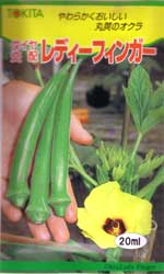 レディーフィンガー