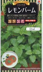 レモンバーム