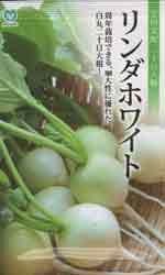 リンダホワイト