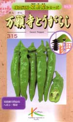 万願寺とうがらし