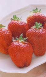 ジャンボいちご　まんぷく2号